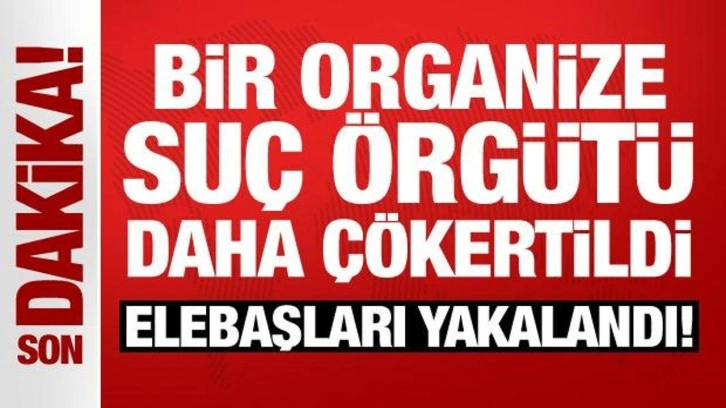 Yeni Organize Suç Örgütü Çökertildi!