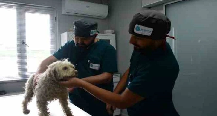 Yeni Proteo’lar bu bakım evinde yetişecek