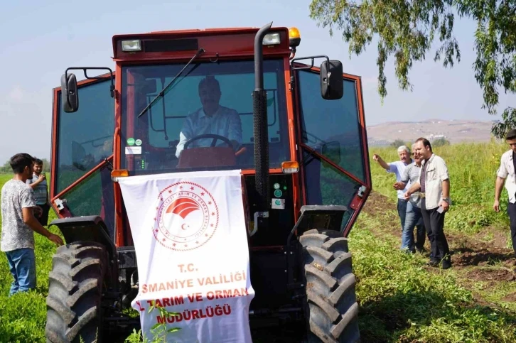 Yer fıstığının başkenti Osmaniye’de hasat başladı
