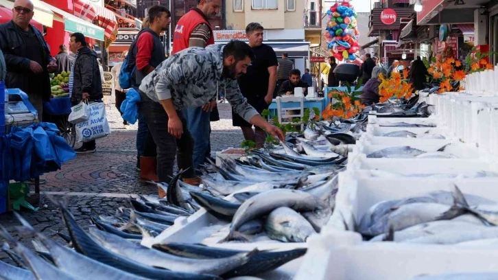 Yer gök palamut: Tanesi 100 TL’den satılıyordu bugün 3 tanesi 100 TL
