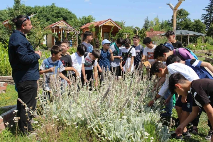 Yeryüzü Ekoloji Okulu çok sevildi
