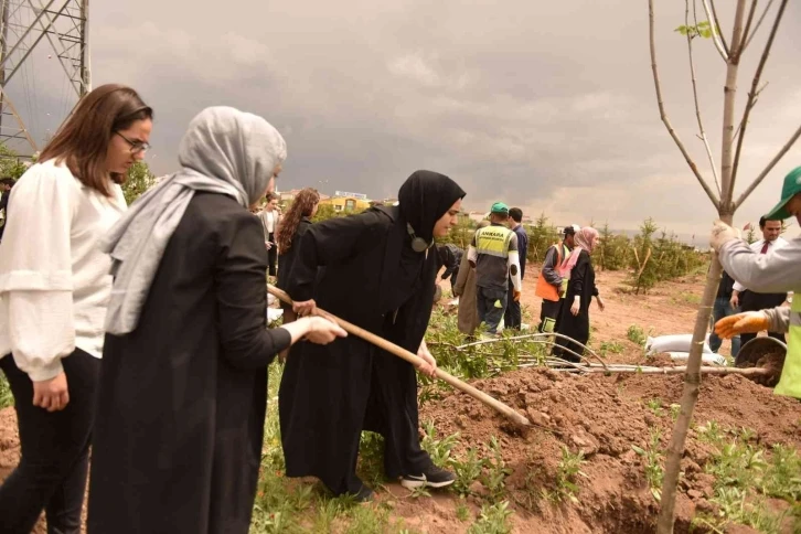 Yeşilin başkenti kampanyasına yurt içi ve yurt dışından yoğun ilgi
