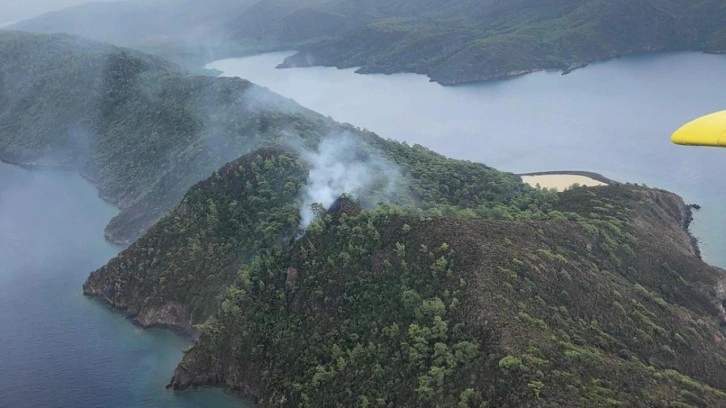 Yıldırım düşen ormanlık alanda yangın çıktı