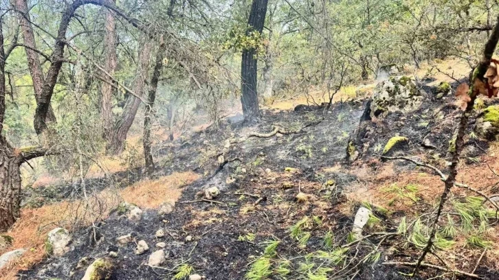 Yıldırım kaynaklı orman yangınına, havadan ve karadan müdahale
