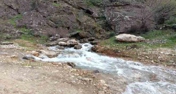 Yıllardır kuruyan su kaynağından depremden sonra su çıktı