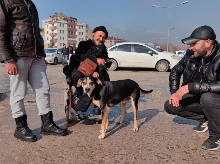 Yok böyle dostluk...Tedavi gören engelli sahibini saatlerce kapıda bekliyor
