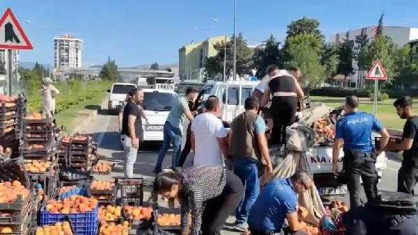 Yola saçılan şeftalileri birlikte topladılar