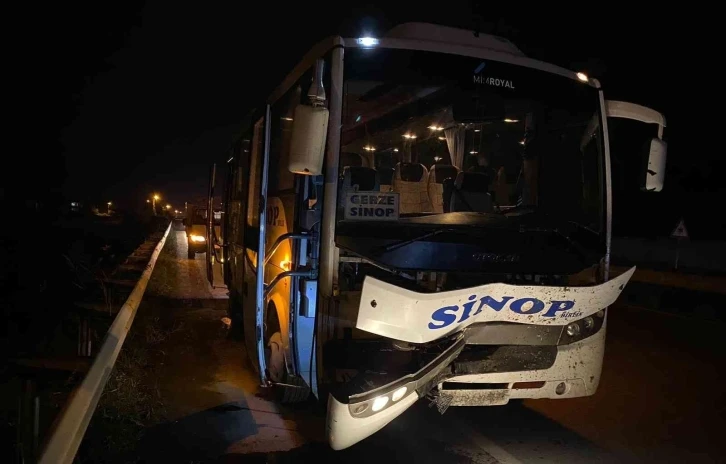 Yolcu otobüsünün çarptığı inek telef oldu
