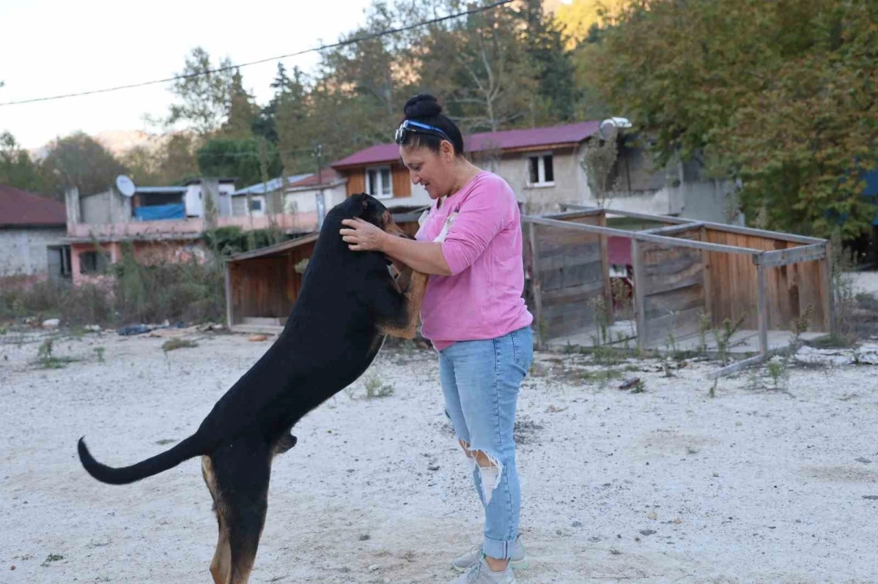 Yolda giderken kafası salça bidonuna sıkışan köpeği görüp kurtardı
