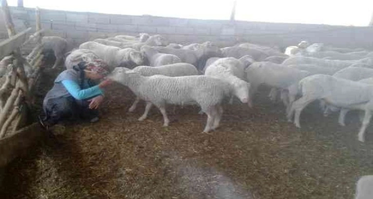 Yolu kapatılan besici kadın açlık grevine başladı