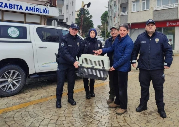 Yorgun düşen kuğunun imdadına polis yetişti
