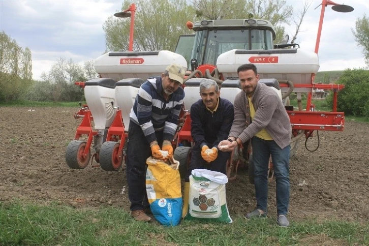 Yozgat’ta 5 çeşit kuru ve yeşil fasulye deneme ekimi yapıldı
