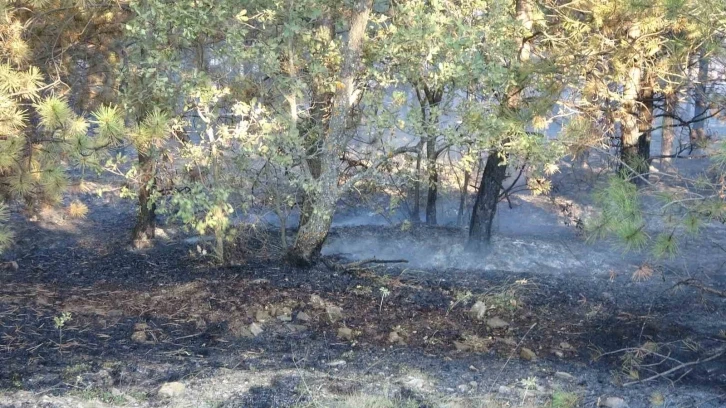 Yozgat’ta orman yangınına ilişkin gözaltına alınan 2 kişi serbest bırakıldı
