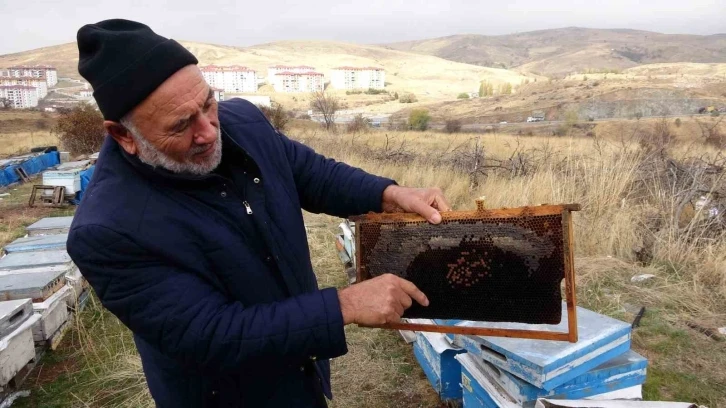 Yozgat’ta varroa hastalığı 15 bin kovana zarar verdi
