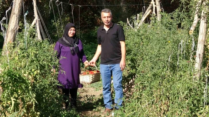 Yozgatlı çift, sağlıklı nesiller için ata tohumu üretiyor
