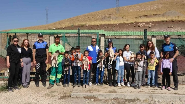 Yüksekova’da 4 Ekim Hayvanları Koruma Günü etkinliği
