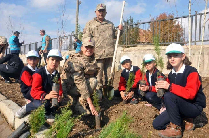 Yüksekova’da bin 550 ağaç toprakla buluşturuldu
