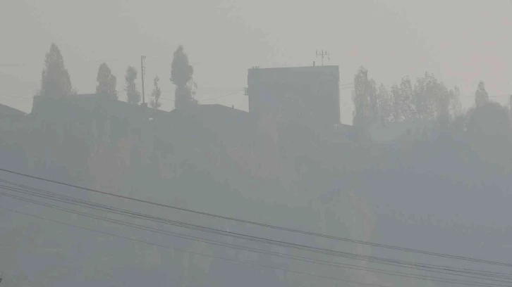 Yüksekova’da yoğun sis: Görüş mesafesi 10 metreye kadar düştü
