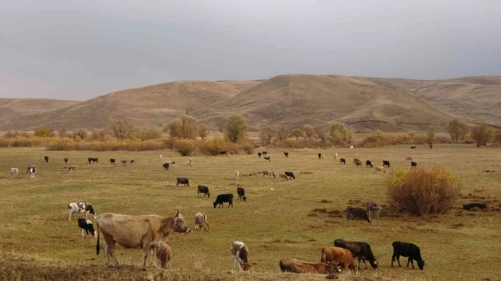 Yüksekova’nın Cilo dağları beyaza bürünürken, ova ise sonbahar güzelliğini yaşıyor
