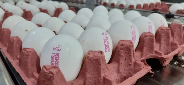 Yumurta fiyatlarının yükselmesinde üreticiler aracıları sorumlu tuttu
