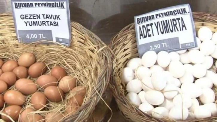 Yumurtada fiyatlar haftalık değişiyor