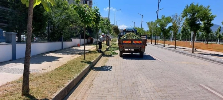 Yunusemre’de ot biçme çalışmaları devam ediyor
