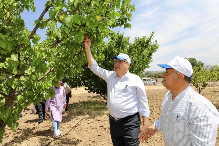 Yunusemre üreticiyi destekliyor, ekonomiye katkı sağlıyor
