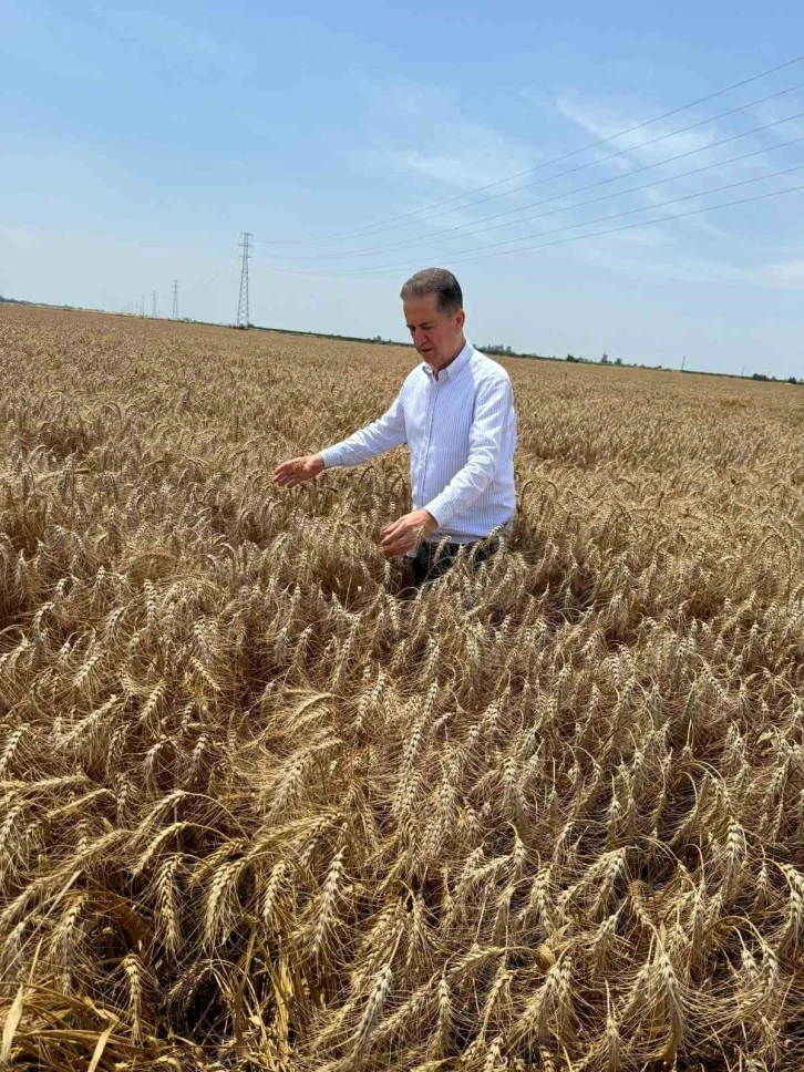 Yüreğir Ziraat Odası Başkanı Doğan: "Açıklanan buğday fiyatı beklentileri karşılamadı"
