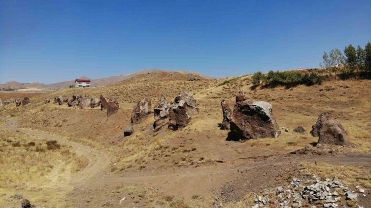 Yüzlerce yıllık ’Nemrut Develeri’ bir bir yok oluyor
