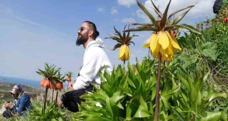 Zerrinkadeh çiçekleri ve terslaleler doğal fotoğraf stüdyosu oldu