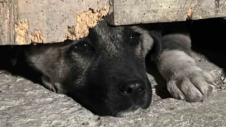 Zonguldak’ta Devrek’teki Tekstil Atölyesinde Çıkan Yangın Devam Ediyor