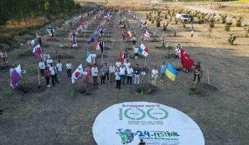 100 ülkenin gençleri dünya barışı için 100 zeytin fidanı dikti
