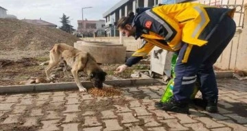 112 Personellerinden sokak hayvanlarına mama desteği