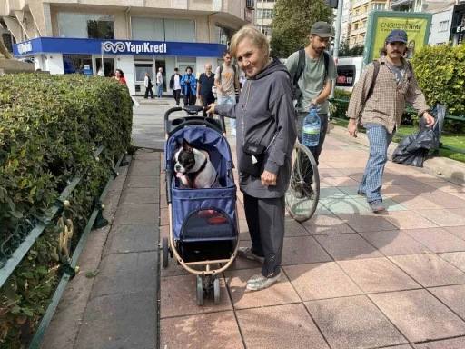 17 Kilo ağırlığına ulaşan köpeğini gezdirme adeta bir bebek gibi dolaştırıyor
