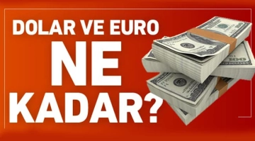 2 Şubat Dolar Kuru