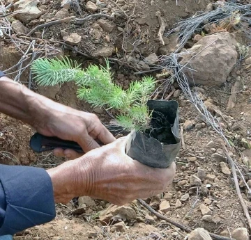 21 Mart’ta Aydın ve Muğla’da 50 bin fidan toprakla buluşacak
