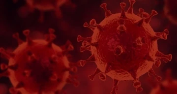 3 sene önceki antikorlarımız mutasyonlu virüsleri tanımıyor
