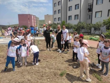 300 fidan topraklarla buluştu
