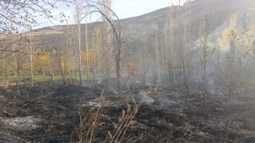 40 dönüm bahçe küle döndü, asırlık ceviz ağaçları yandı
