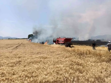 40 dönüm buğday tarlası kül oldu
