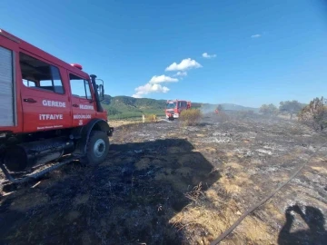 5 dönümlük otluk arazi küle döndü
