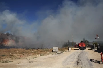 50 metre arayla çıkan iki yangın büyümeden söndürüldü
