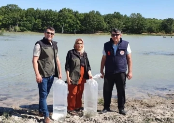 7 bin adet yavru sazan göletlere bırakıldı
