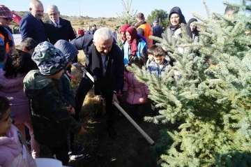 783 bin hektar ormanı bulunan Kastamonu’da, 185 bin hektar son 50 yılda ağaçlandırıldı
