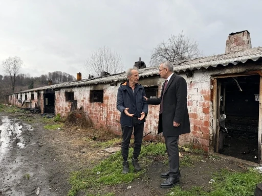 8 bin 700 tavuk telef olmuştu, Kaymakam Pişkin çiftlikte incelemelerde bulundu
