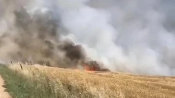 90 dönümlük buğday tarlası küle döndü