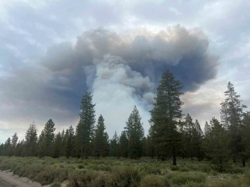 ABD’nin Oregon eyaletinde orman yangını: Bin 700 dönümlük alan kül oldu
