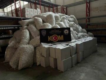 Adana’da 36 milyon 250 bin gümrük kaçağı makaron ele geçirildi
