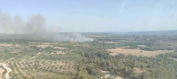 Adana’da çıkan orman yangını kontrol altına alındı
