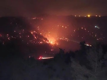 Adana'da orman yangını (2)